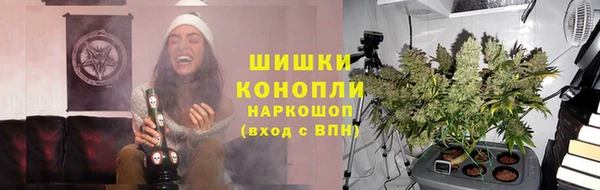 PSILOCYBIN Слюдянка