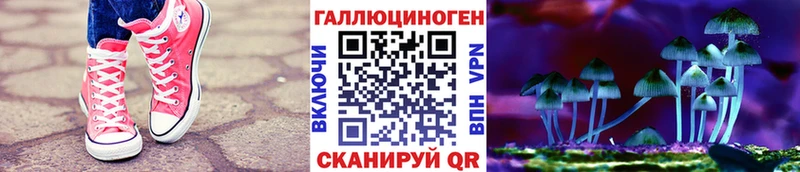 Купить  Весьегонск  Галлюциногенные грибы GOLDEN TEACHER 